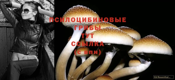 дурь Бугульма