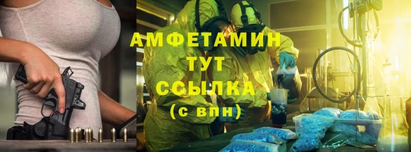 сатива Сатка