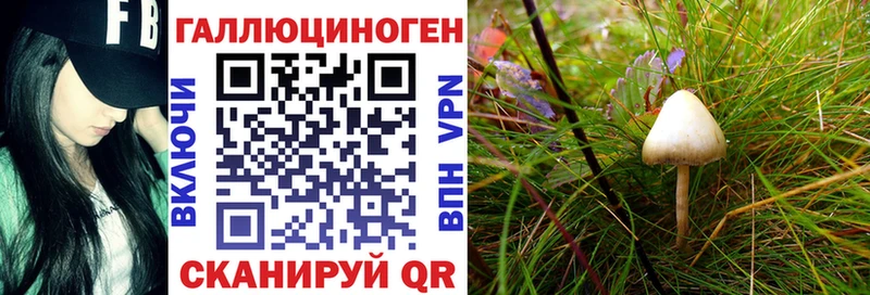 купить наркотик  Южноуральск  Псилоцибиновые грибы Magic Shrooms 
